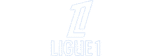 L1-e1751397615374.png